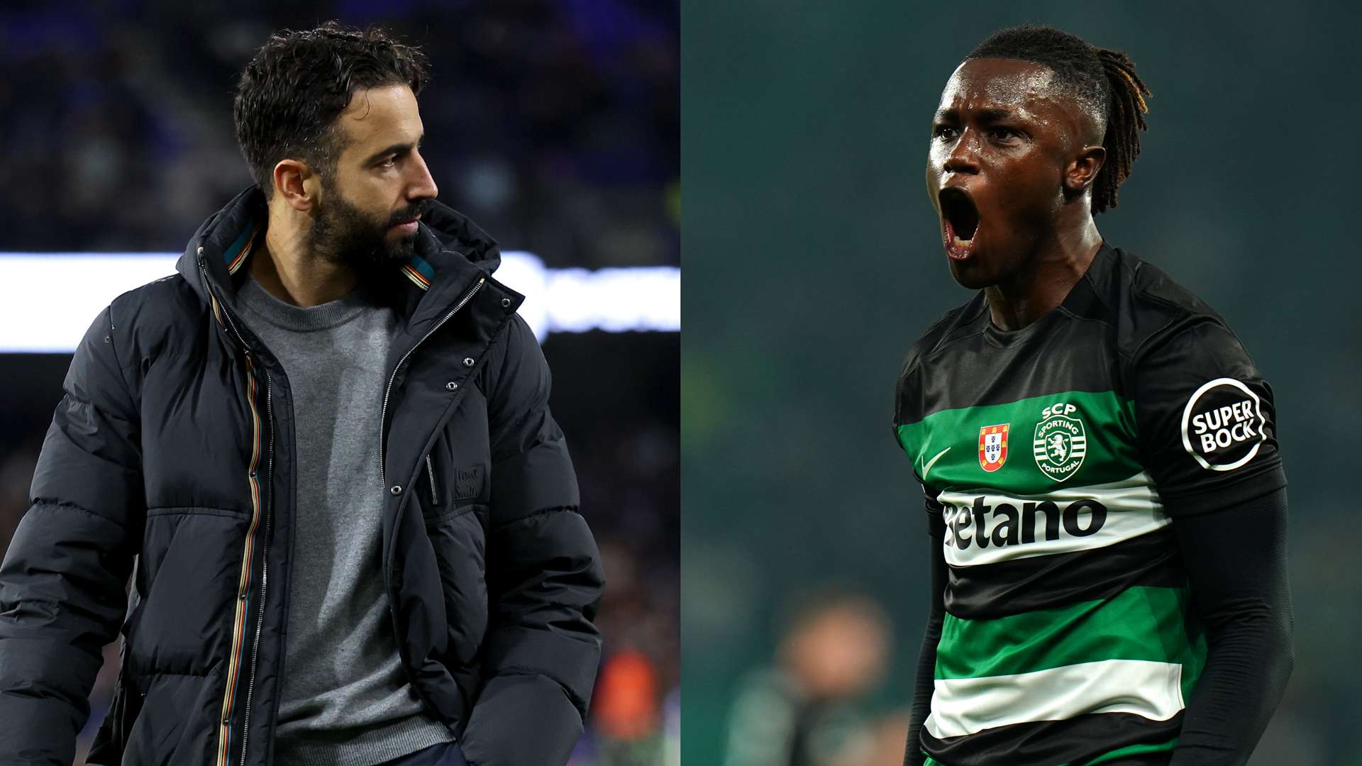 的山东队 的山东队